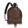 Louis Vuitton Palm Springs MM M41561